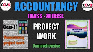 P1 Class 11th Comprehensive Accountancy Project work  Session 202021 [upl. by Shaner]