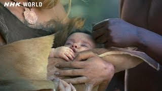 5 Encountering Neanderthals  OUT OF THE CRADLE 人類誕生CG  NHK Documentary [upl. by Nilkcaj]