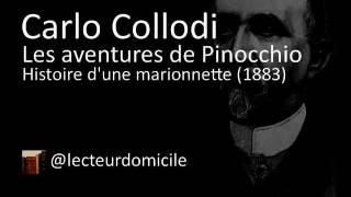 Les aventures de Pinocchio  Carlo Collodi  09 [upl. by Enahpets35]