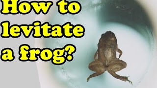 How to Levitate a Frog Curiousminds97 [upl. by Anoblav]