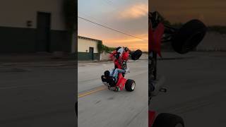 Wheelies into sunset 🌅🌴 miami trx450 florida [upl. by Wootan]