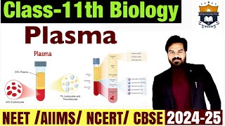 Plasma  Components of Blood  what is plasma  Body Fluids And Circulatuon class 11  Biology NEET [upl. by Mcmullan]