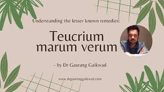 Understanding Teucrium marum verum with Dr Gaurang Gaikwad [upl. by Maillw]