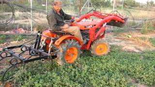 Kubota B6000D trabajando con cultivadores [upl. by Yekciv827]