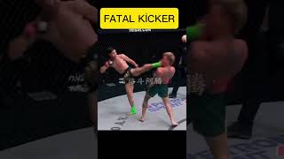 How to become a Fatal Kicker mma ufc fighter wwe [upl. by Iamhaj67]