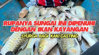 Seru Terjumpa lubuk mahseer Ikan semah Sarawak [upl. by Dlorah58]