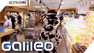 AbenteuerSupermarkt in den USA  Galileo  ProSieben [upl. by Demha]