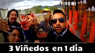 Los viñedos de Querétaro que debes conocer Ruta del Vino [upl. by Imotas805]