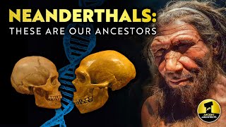 Who Were the Neanderthals and What Happened to Them  Ancient Architects [upl. by Hobbie]