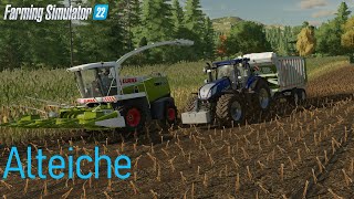 LS22 Alteiche 17 Der Mais kommt weg  Farming Simulator 22 [upl. by Palila775]