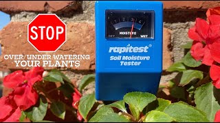 Rapitest Soil Moisture Tester Does It Work 💦🌱 [upl. by Levesque]