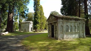 Brookwood Cemetery Walk English Countryside 4K [upl. by Haleelahk]