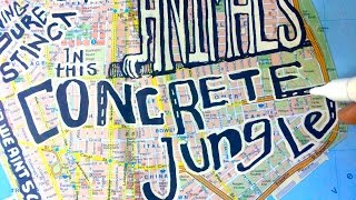 Concrete Jungle  Lyric Video [upl. by Daile]