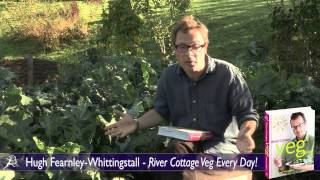 Hugh FearnleyWhittingstall  River Cottage Veg Every Day [upl. by Anires]