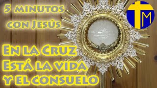 5 minutos con Jesús Sacramentado Adoración al Santísimo Sacramento del Altar [upl. by Nessaj]