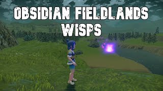 All Obsidian Fieldlands Wisp Locations  Pokemon Legends Arceus PLA [upl. by Haelat]