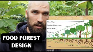 the ONLY Food Forest video you need to watch syntropic agroforestry  NZ [upl. by Akirre]