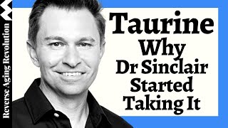 WHY Dr David Sinclair Added TAURINE To His Regimen amp His Dosage [upl. by Zirkle]