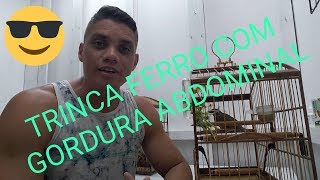 😎GORDURA ABDOMINAL NO TRINCA FERROOVEIRA [upl. by Clyve]