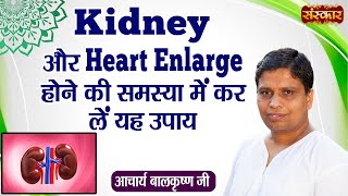 Kidney और Heart Enlarge होने की समस्या में कर लें यह उपाय  Remedy for Kidney  Acharya BalkrishnaJi [upl. by Haelat]