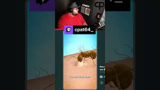 Chill Day With All Games discord Cpat64  cpat64 on Twitch [upl. by Legnaros]