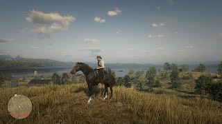 RDR2 Turkoman Horse Location  Turkoman [upl. by Tuneberg]