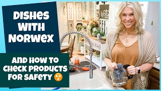 Doing Dishes with Norwex and resources to check your products or safety with Amy Dabbelt [upl. by Meredithe500]