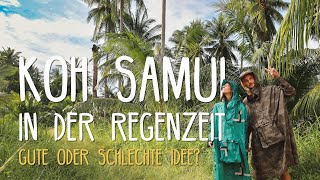 Koh Samui in der Regenzeit November • Thailand • Vlog 263 [upl. by Nelda]