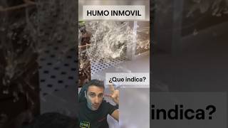 Humo inmóvil ¿Qué indica curiosidades supervivencia sabiasque [upl. by Newby642]