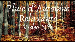 Bruit Pluie Ambiance Automne Mysterieuse Video N°2  2023 🍂🌧️🍁 [upl. by Leciram]