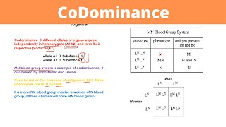 CoDominance  Genetics [upl. by Pena]