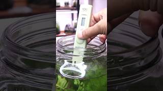 Checking the TDS of water in the Shrimp Aquajar [upl. by Drareg]