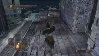 DARK SOULS 2  ALL Dual Wielded Weapons and Move Sets [upl. by Ardnoid122]