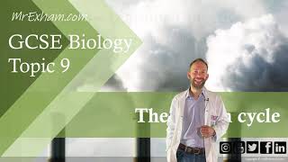 The Carbon Cycle  GCSE Biology 91  913 [upl. by Dyna398]