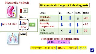 3 Metabolic Acidosis amp Metabolic Alkalosis  Acid Base Balance  Biochemistry [upl. by Ailekat]