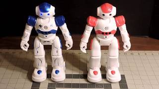 CADY WIDA amp Mechanics Remote Control Humanoid Robots [upl. by Roselyn]