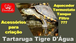 O QUE PRECISA NO SEU TANQUE  TARTARUGA TIGRE DÁGUA [upl. by Nageem722]