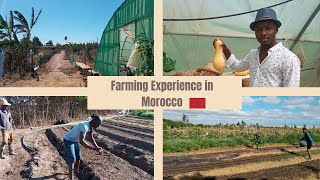 Ma première expérience dans une Ferme Agricole au Maroc  Vlog morocco [upl. by Pani285]