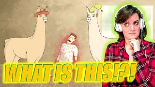 WHAT AM I WATCHING I quotLlama with Hats 112 The Complete Seriesquot REACTION [upl. by Woody754]