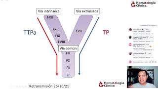 Pruebas de hemostasia [upl. by Roche355]