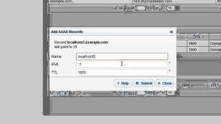 Working With AAAA Records DNS Made Easy Tutorials [upl. by Ahseket]