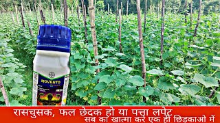 Movento Energy  Systemic double action insecticide  Bayer  Parveen Thakur  Spirotetramat  imida [upl. by Ruomyes120]