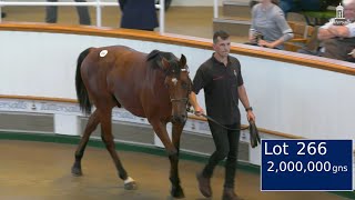 2000000gns Frankel Colt Highest Priced Yearling in Europe in 2023 [upl. by Anytsyrk]