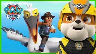 PAW Patrol Save Travis from a Big Bird More  Paw Patrol  Cartoons for Kids [upl. by Nilson]