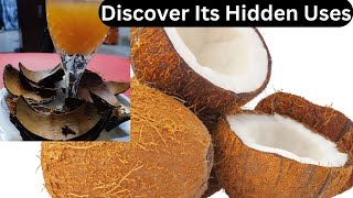 The Surprising Benefits Coconut Shells [upl. by Faulkner454]