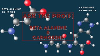 Ask the Prof  Beta Alanine and Carnosine Supplementation [upl. by Leoline]