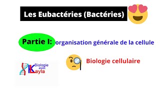 Biologie cellulaire Les Eubactéries Bactéries البكتيريا [upl. by Ellerd805]