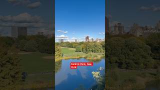 Central Park New York City fall 2024 shorts travel [upl. by Bartko]