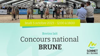 Sommet de lélevage 2023  Concours NATIONAL BRUNE APM  05102023 [upl. by Eugenie615]