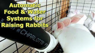 Our Rabbit Self Feeding and Watering Systems by a GettinJunkDone [upl. by Nnasor]